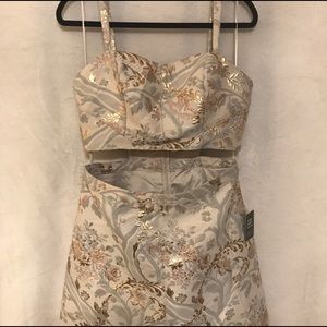 Express Cut-Out Cocktail Dress